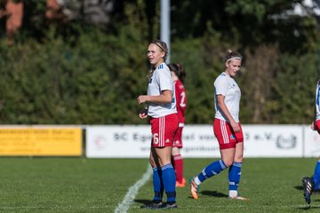 Bild 285 - F Egenbuettel - Hamburger SV 2 : Ergebnis: 0:8